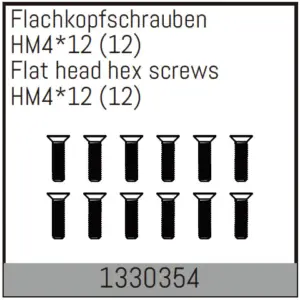 Flat Head Hex Fine Pitch Screws Hm4*12/12 PCS
