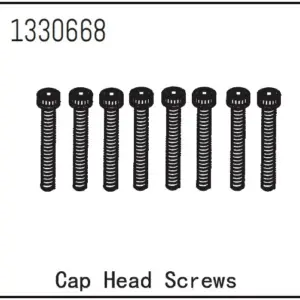 Cap Head Screws M3*22 (8)