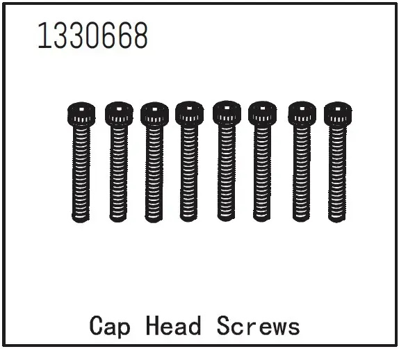 Cap Head Screws M3*22 (8)
