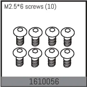m2.5*6 Screws (10)