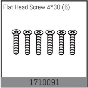Flat Head Screw 4*30 (6)
