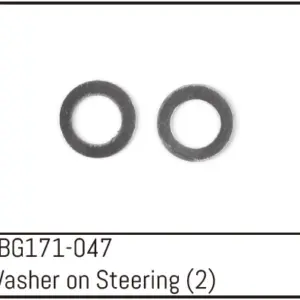 Steering Washer (2)