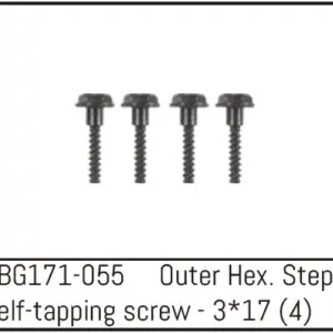 Outer Hex. Step Self-Tapping Screw M3*17 (4)