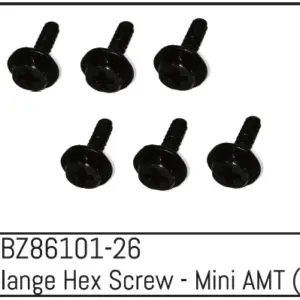 Flange Hex Screw - Mini Amt (6)