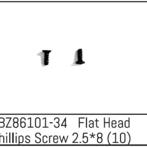 Flat Head Phillips Screw 2.5*8 - Mini Amt (10)