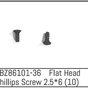 Flat Head Phillips Screw 2.5*6 - Mini Amt (10)