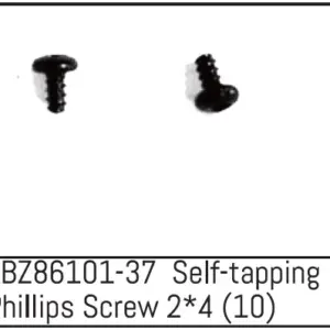 Self-Tapping Phillips Screw 2*4 - Mini Amt (10)