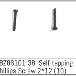 Self-Tapping Phillips Screw 2*12 - Mini Amt (10)