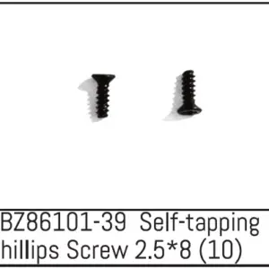Self-Tapping Phillips Screw 2.5*8 - Mini Amt (10)