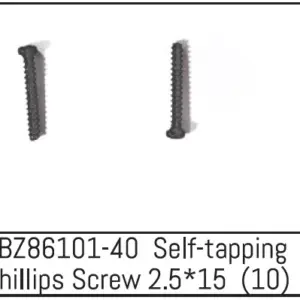 Self-Tapping Phillips Screw 2.5*15 - Mini Amt (10)