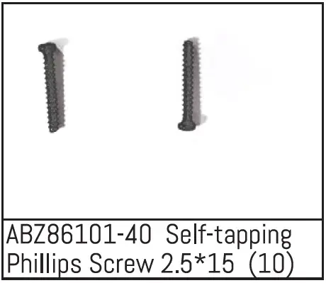 Self-Tapping Phillips Screw 2.5*15 - Mini Amt (10)