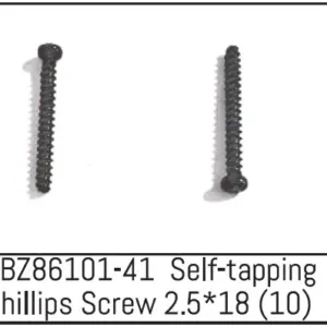Self-Tapping Phillips Screw 2.5*18 - Mini Amt (10)