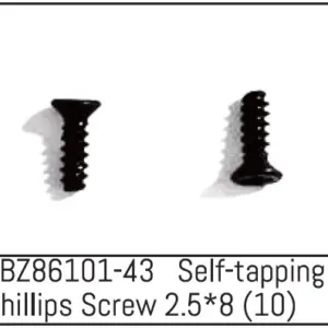 Self-Tapping Phillips Screw 2.5*8 - Mini Amt (10)