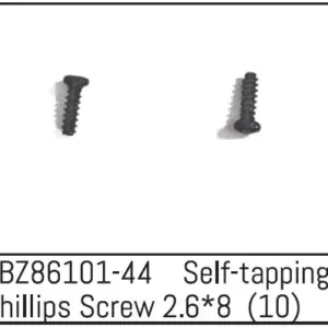 Self-Tapping Phillips Screw 2.6*8 - Mini Amt (10)