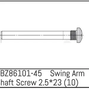 Swing Arm Shaft Screw 2.5*23 - Mini Amt (10)