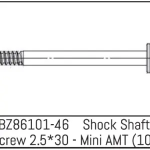 Shock Shaft Screw 2.5*30 - Mini Amt (10)