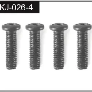 3*10 Screws (4)