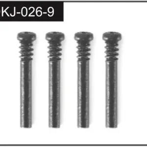 2.5*19 Screws (4)