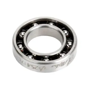 Rear Bearing