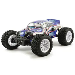 FTX Bugsta RTR 1/10th Brushed 4WD Off-Road Buggy