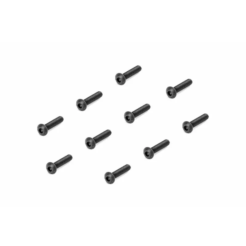 Louise RC Screw Set - Bh M3X14(10PCS)