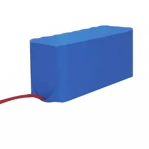 Joysway Baiting 2500 LiFePo4 6.4V-12Ah Battery
